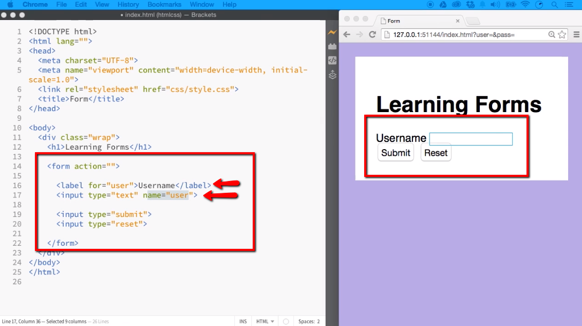 Form Elements (Part 1 of 2) - iLoveCoding